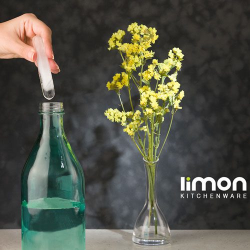 جا یخی میله ای لیمون 1838