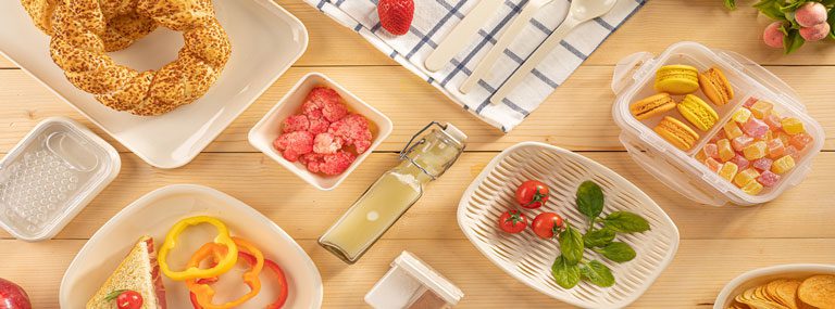 بنر ظروف پیک نیک مسافرتی لیمون